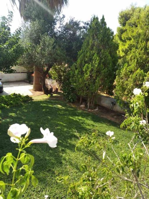 Cozy Villa Vita Lagonisi Kalivia Thorikou Exterior foto